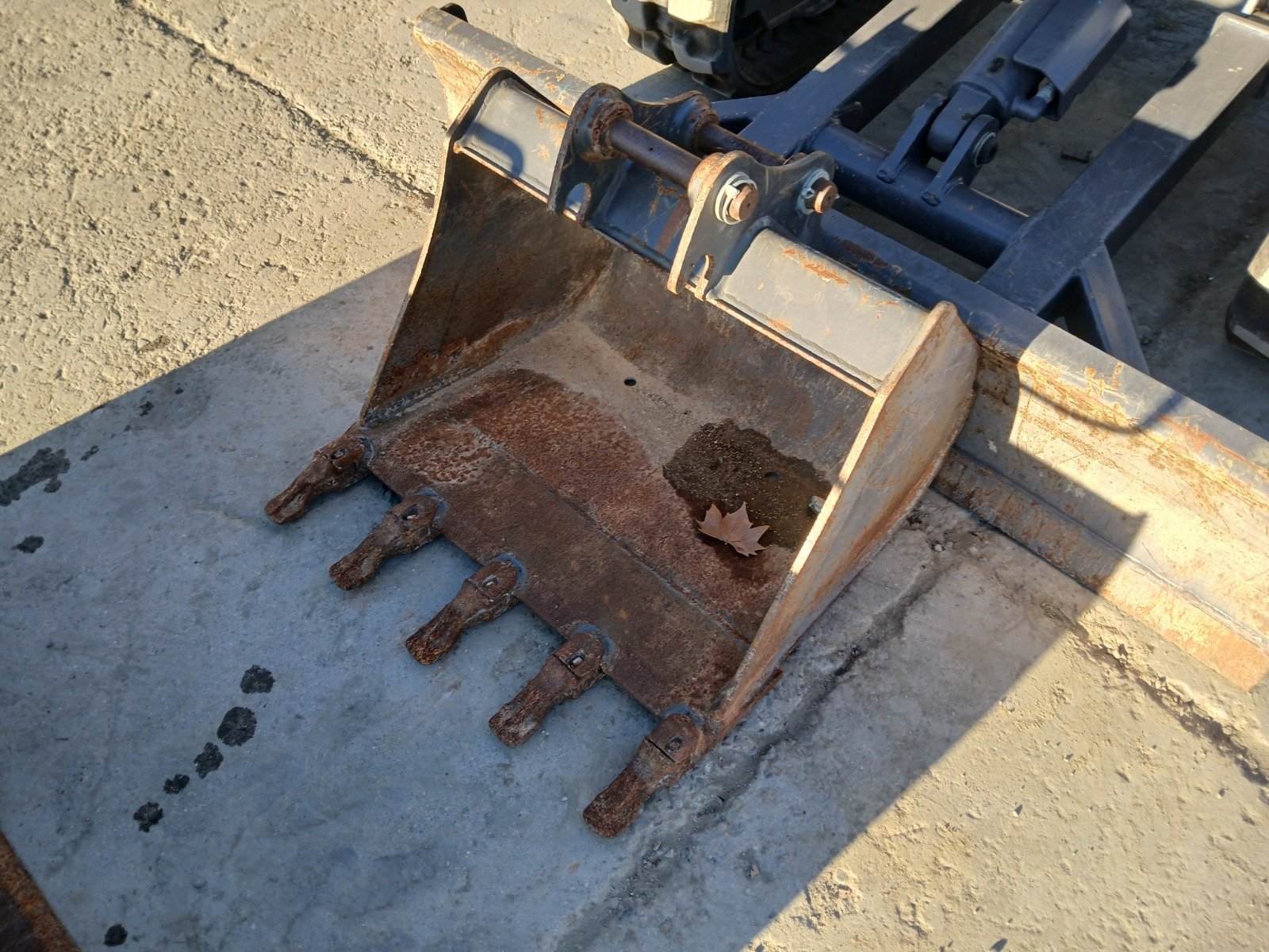 WhatsApp Image 2026-03-19 at 20.31.54